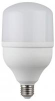 Лампа светодиодная  ЭРА LED smd POWER 40W-6500-E27