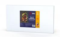 ENIOF-08 ЭРА Фигура LED Дед Мороз, 220V, IP44 (10/160)