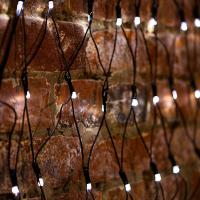 Гирлянда светодиодная Сеть треугольная 1,5х2х2м 136 LED БЕЛЫЙ черный ПВХ IP65 свечение с динамикой 230В блок в комплекте NEON-NIGHT