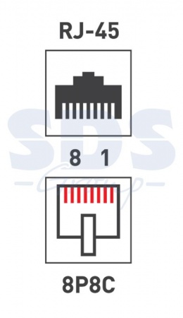 Розетка компьютерная внешняя 2-порта, UTP RJ-45 (8P8C), CAT 5e REXANT